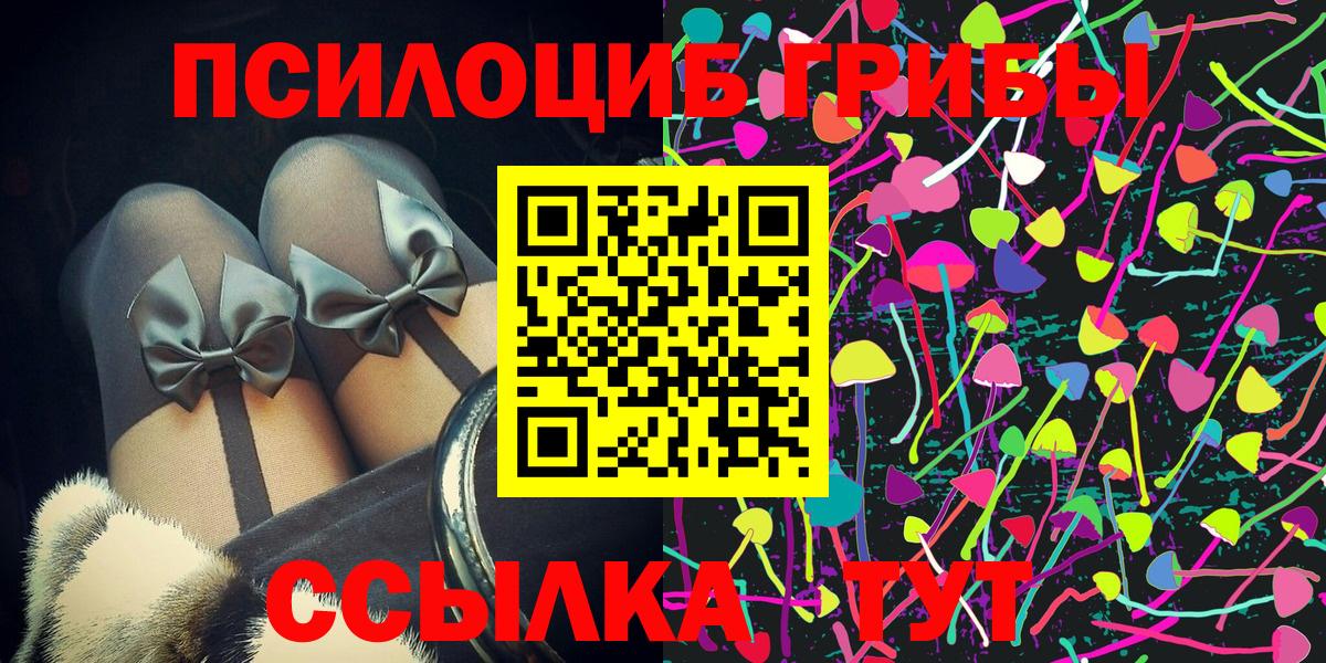 Псилоцибиновые грибы мицелий Губаха